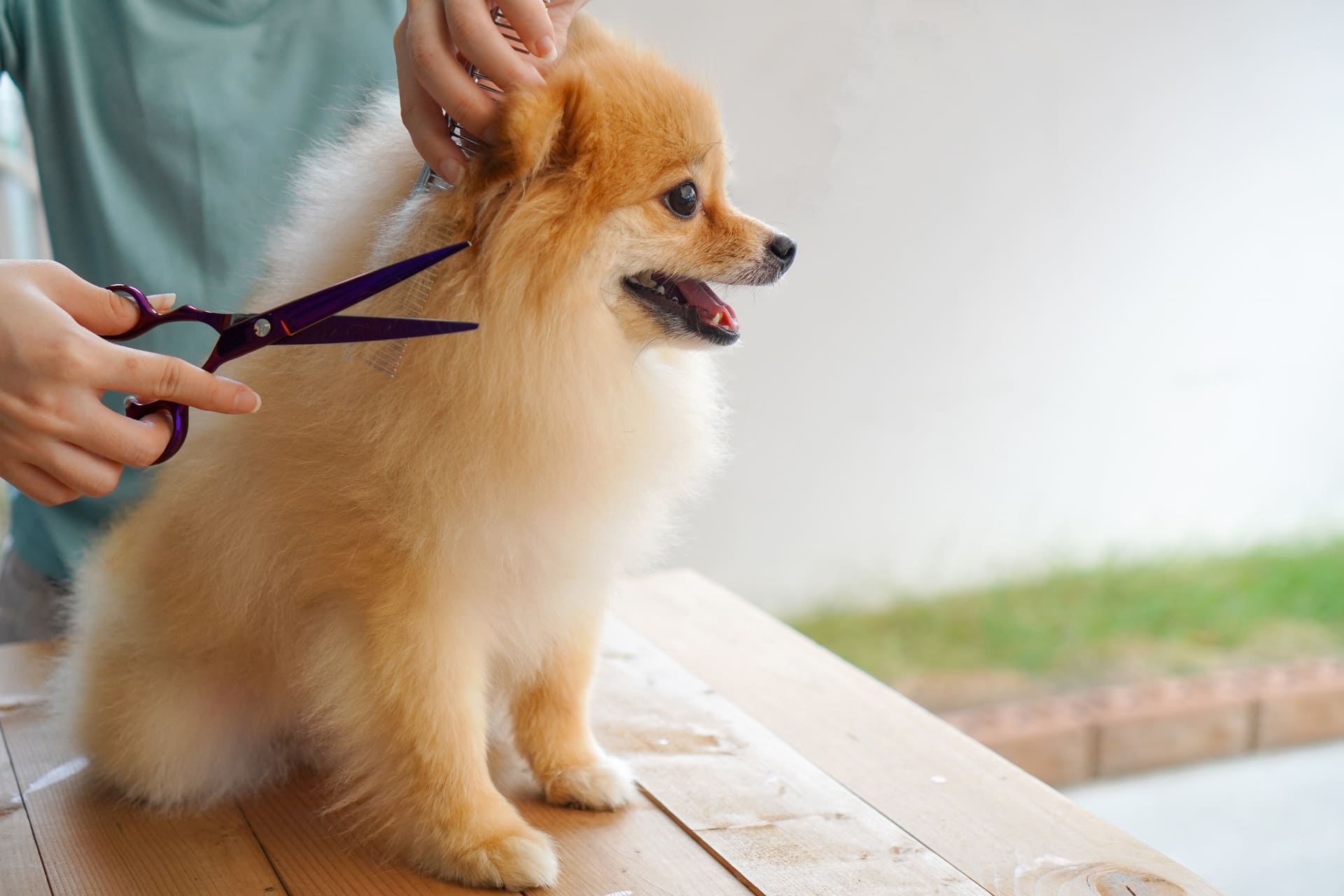 AdobeStock_106541759