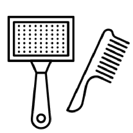 アクセント画像（左）