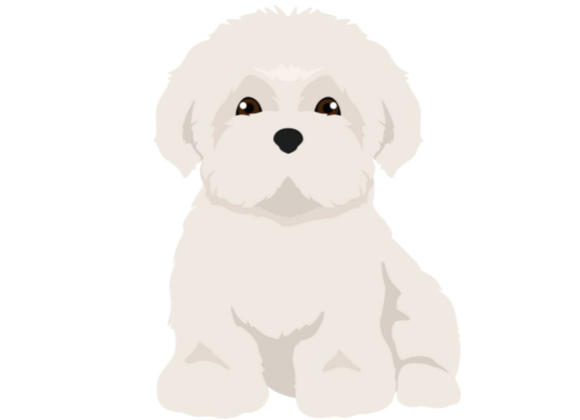 メインイラスト