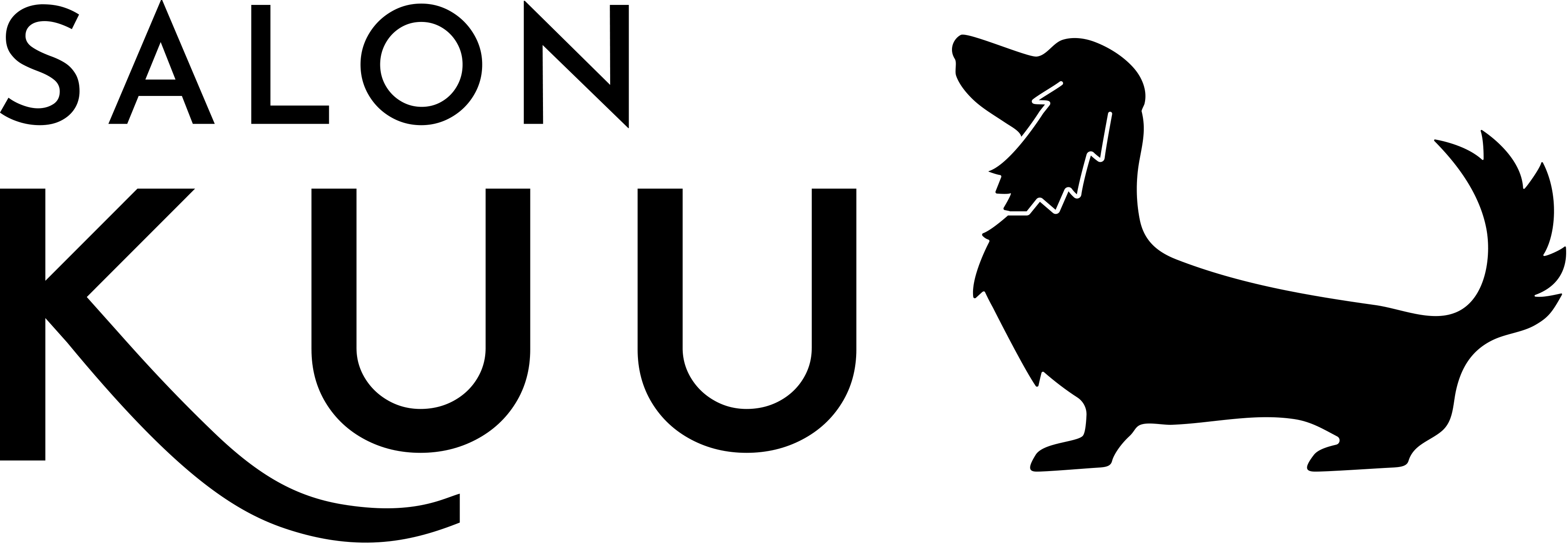 SALON KUU